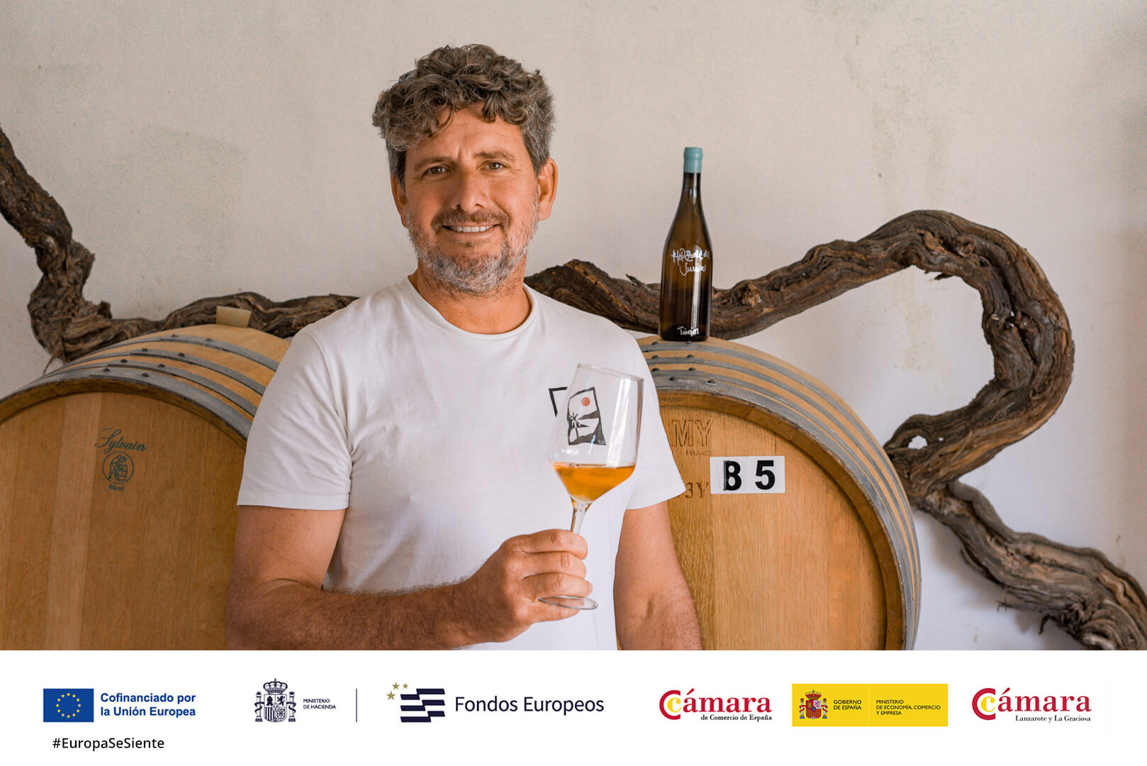 bodegas_cohombrillo04