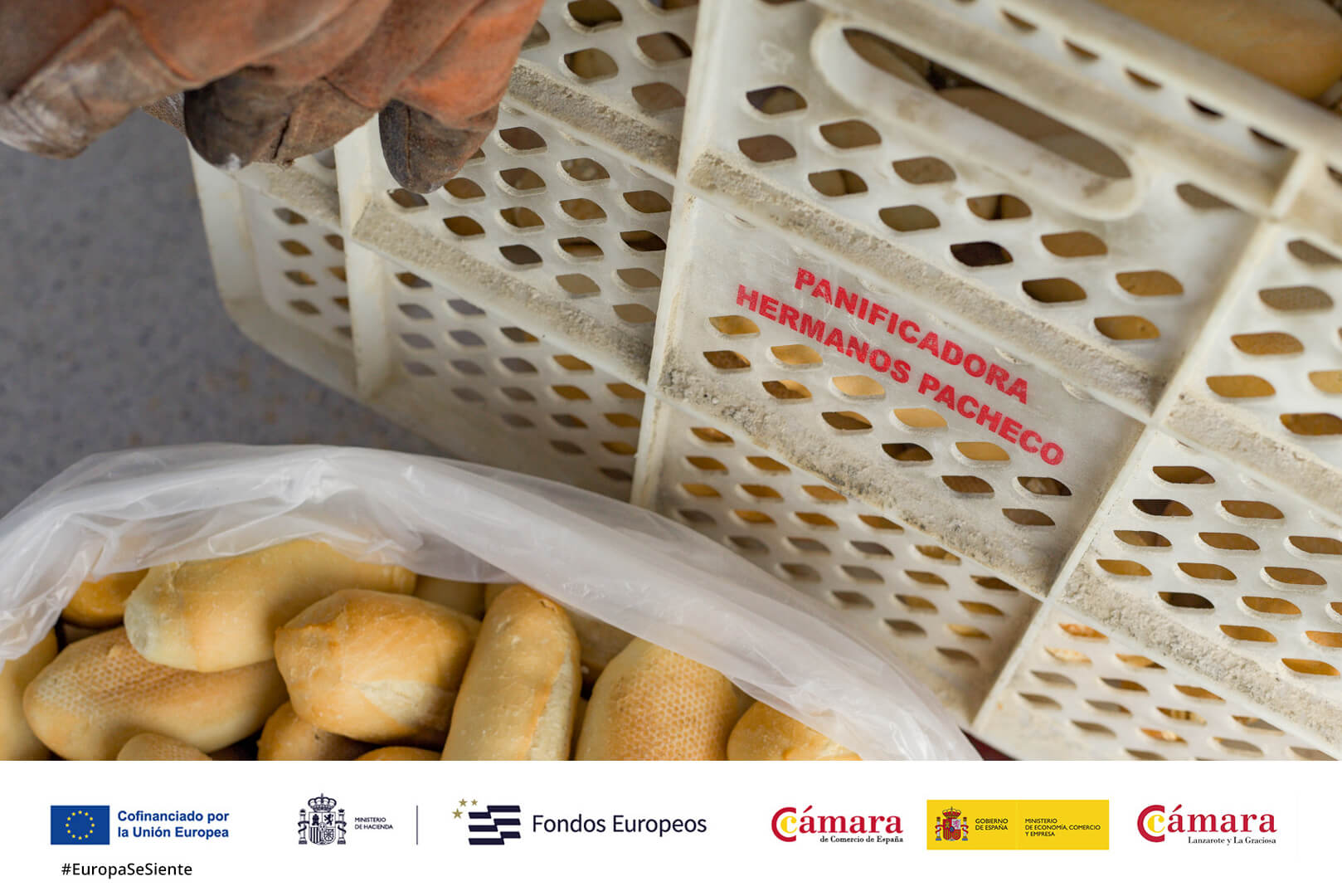 panaderia_hermanos_pacheco02
