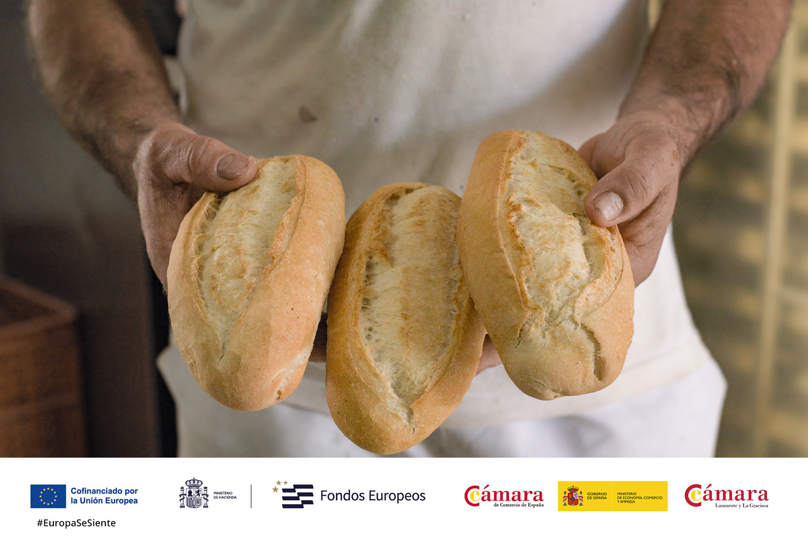 panaderia_tajaste04
