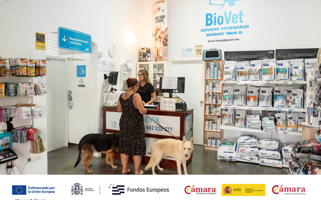 BioVet Tinajo clínica Veterinaria